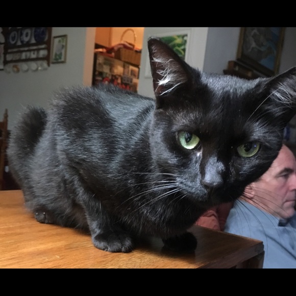 Meet your Posher, Amy - Picture 6 of 8